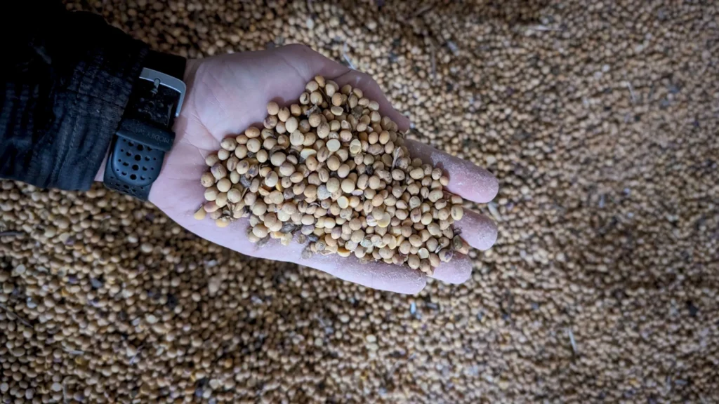 Famine Prevention Seed Genetics