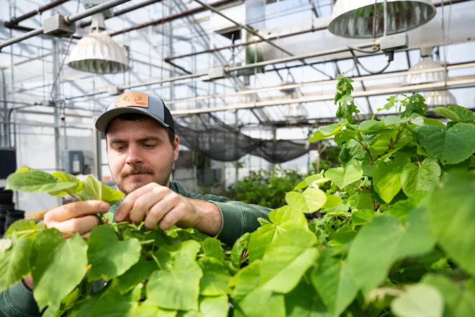 Crop Science