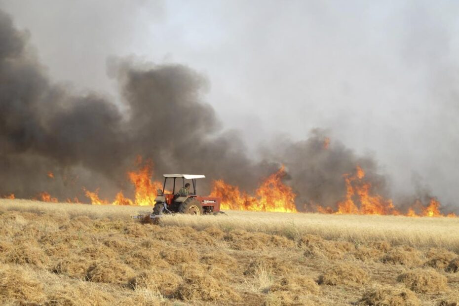 Geopolitics and Agriculture