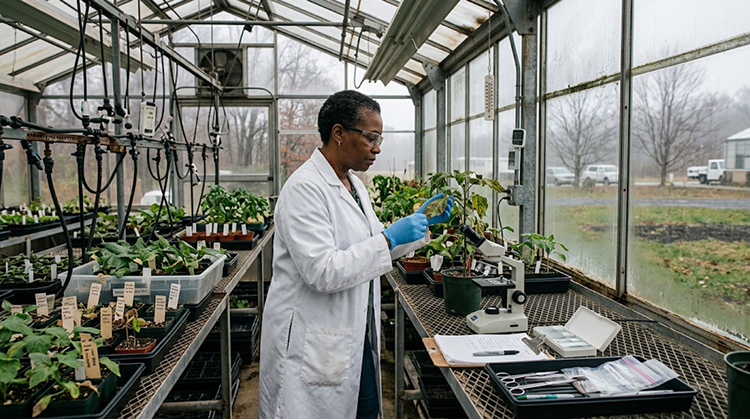 Beltsville's Research Center Remains Open For Now